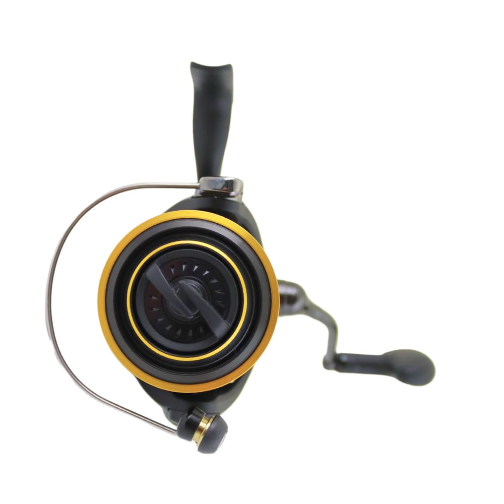 Daiwa BG 3000 Salt Water